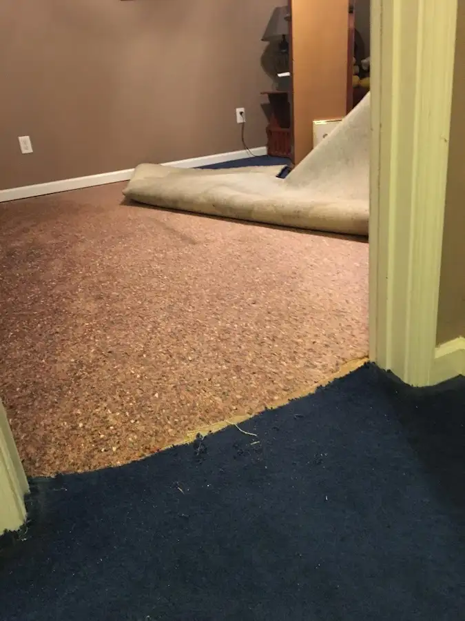 Carpet pad removal revealing water damage during Drying & Dehumidification in Longboat Key