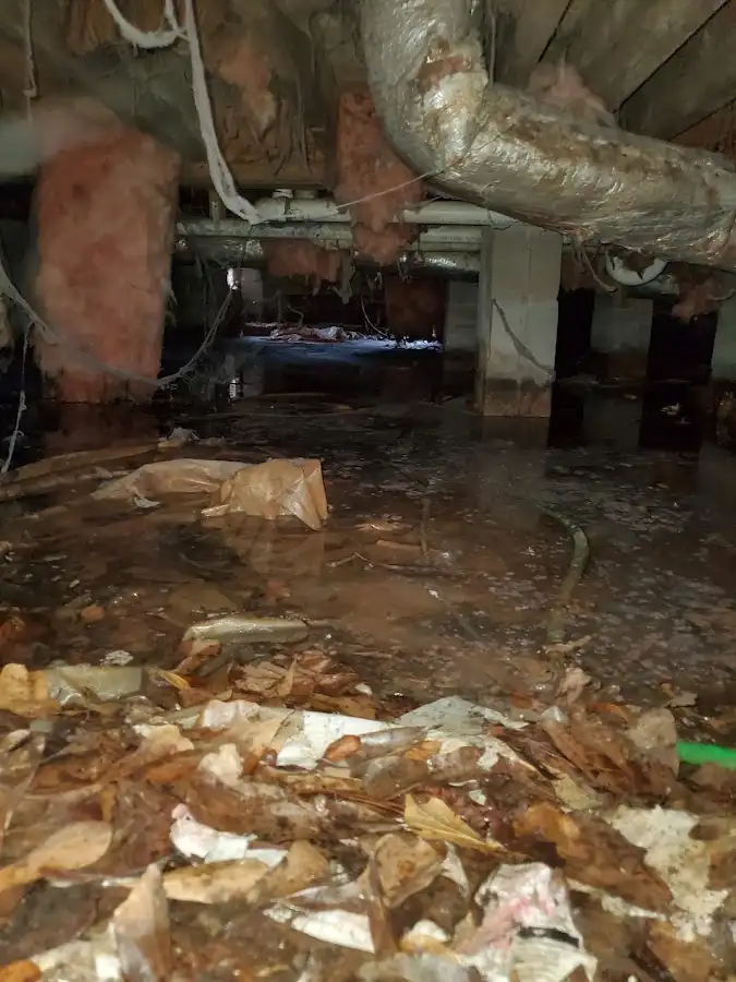 Crawl space flood assessment for Commercial Water Damage Restoration in Longboat Key